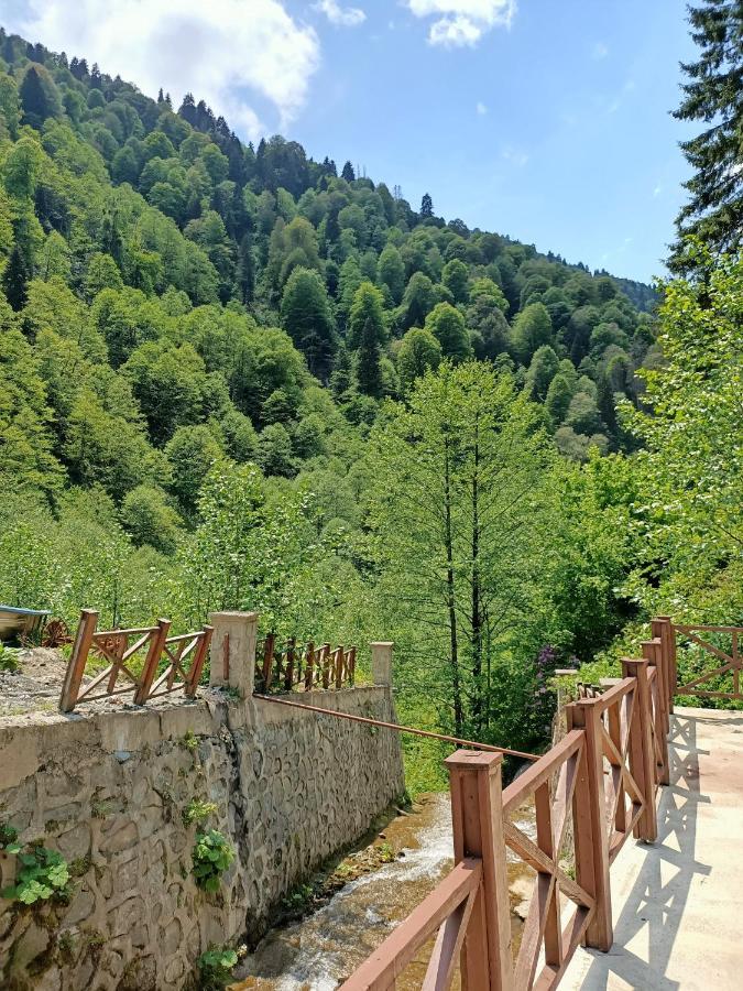 Ferah Butik Otel Çamlıhemşin Esterno foto