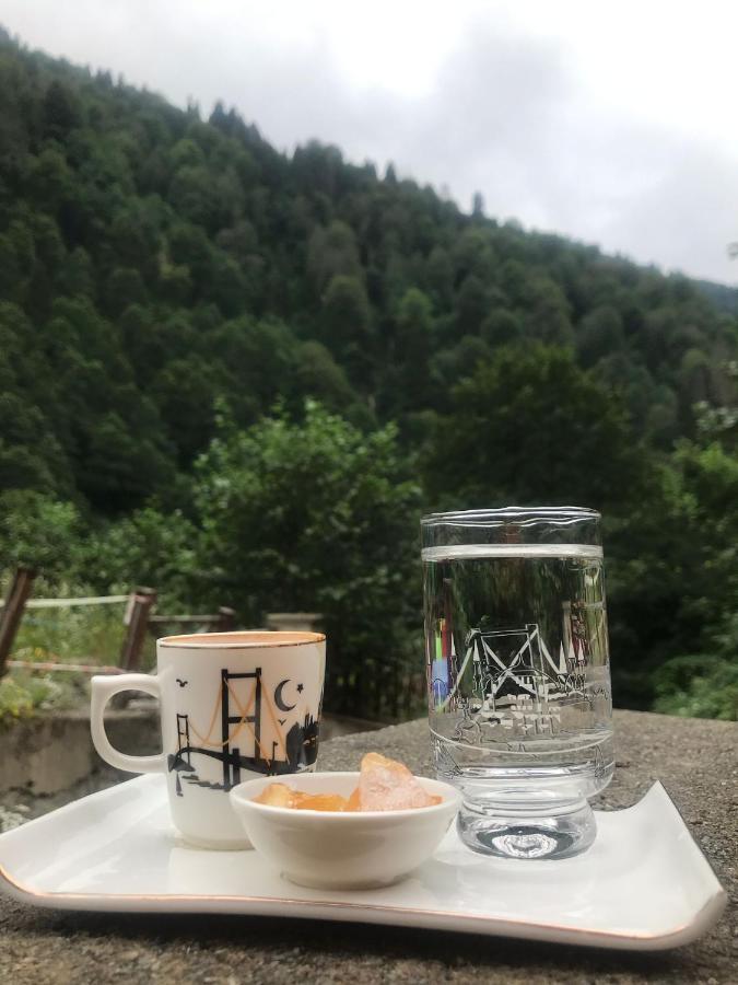 Ferah Butik Otel Çamlıhemşin Esterno foto